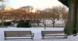 Benches in Snow