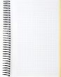 Blank notebook sheet