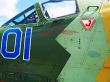 aircraft canopy
