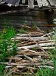 Background - old wood