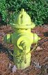 Yellow Hydrant