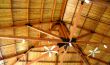 Natural Wood Ceiling