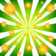 Rays and flowers