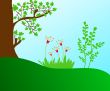 Nature design