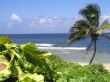 Island Post Card