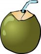 Young coconut