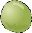 Guava fruit