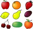 Fruit illustration