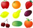 Fruit illustration