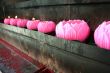 Lotus candles