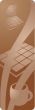 Hot chocolate beverage panel