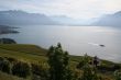 Farm next to the lake