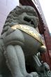 Guardian lion