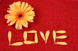 Daisy and the word love
