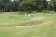 Golfers