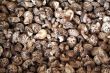 Dried mushrooms