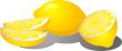 Lemon slices illustration