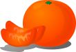 Orange segment illustration