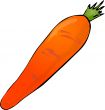 Carrot