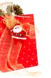 Santa Claus and red bag