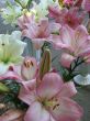 big rosy lilly bouquet