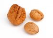 Three walnuts isolated