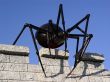Spider on the wall