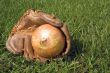 Baseball Glove & Onion