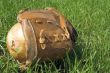 Baseball Glove & Onion