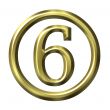 3D Golden Number 6