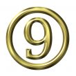 3D Golden Number 9