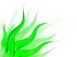 Plant Background