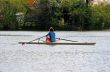 Sculling