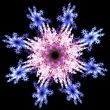 Fractal stars