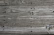 Beach Planks 2