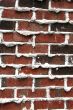 Brick and Mortar Verticle