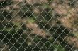 Chain Link