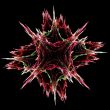 Fractal star