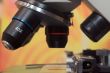 microscope close up