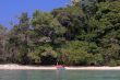 Dense tropical coastline