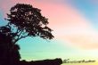Sunset at Ko-Bulon island, Thailand
