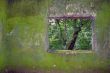 window to liberty