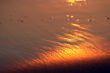 golden ray of light on sand