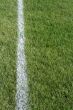 White Line Closeup