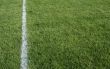 Green Grass and White Line