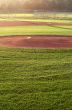 Field of Dreams