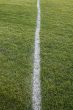 White Line, Green Field
