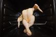 Dancing GMO chicken seated in a clean oven