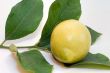 lemon and leaf
