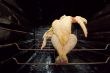 Dancing GMO chicken seated in a dirty oven